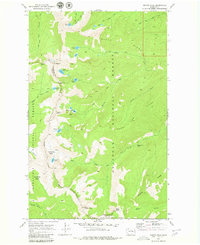 Download a high-resolution, GPS-compatible USGS topo map for Martin Peak, WA (1980 edition)