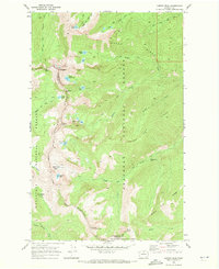 Download a high-resolution, GPS-compatible USGS topo map for Martin Peak, WA (1972 edition)