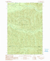 Download a high-resolution, GPS-compatible USGS topo map for Matheny Ridge, WA (1990 edition)