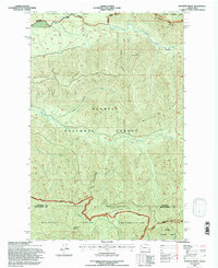 Download a high-resolution, GPS-compatible USGS topo map for Matheny Ridge, WA (1997 edition)
