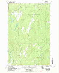 preview thumbnail of historical topo map of Mason County, WA in 1981