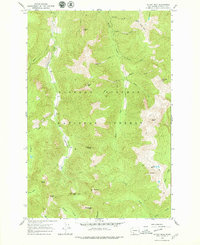 Download a high-resolution, GPS-compatible USGS topo map for Mc Coy Peak, WA (1979 edition)