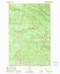 Download a high-resolution, GPS-compatible USGS topo map for Meadow Mountain, WA (1989 edition)