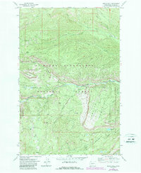 Download a high-resolution, GPS-compatible USGS topo map for Meeks Table, WA (1987 edition)