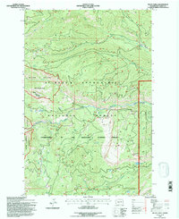 Download a high-resolution, GPS-compatible USGS topo map for Meeks Table, WA (1996 edition)