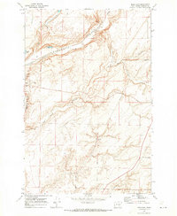 Download a high-resolution, GPS-compatible USGS topo map for Mesa East, WA (1973 edition)