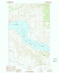 Download a high-resolution, GPS-compatible USGS topo map for Mica Mountain, WA (1989 edition)