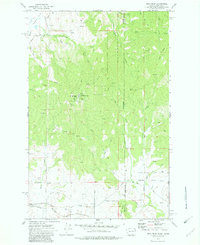 Download a high-resolution, GPS-compatible USGS topo map for Mica Peak, WA (1982 edition)
