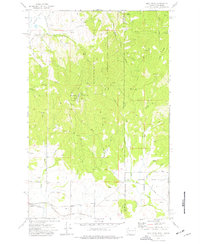 Download a high-resolution, GPS-compatible USGS topo map for Mica Peak, WA (1977 edition)