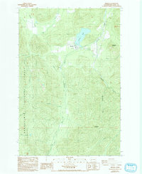 Download a high-resolution, GPS-compatible USGS topo map for Mineral, WA (1993 edition)