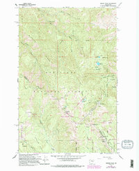 Download a high-resolution, GPS-compatible USGS topo map for Mission Peak, WA (1995 edition)