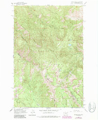 Download a high-resolution, GPS-compatible USGS topo map for Mission Peak, WA (1987 edition)