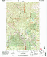 Download a high-resolution, GPS-compatible USGS topo map for Mission Peak, WA (2006 edition)