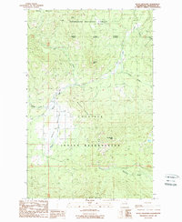 Download a high-resolution, GPS-compatible USGS topo map for Moses Meadows, WA (1989 edition)
