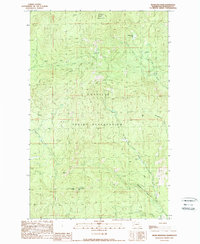 Download a high-resolution, GPS-compatible USGS topo map for Moses Mountain, WA (1989 edition)