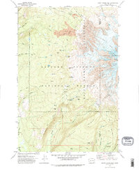Download a high-resolution, GPS-compatible USGS topo map for Mount Adams West, WA (1978 edition)