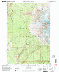 Download a high-resolution, GPS-compatible USGS topo map for Mount Adams West, WA (2003 edition)