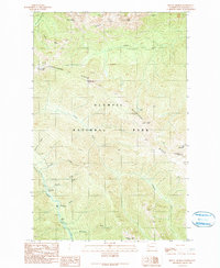 Download a high-resolution, GPS-compatible USGS topo map for Mount Angeles, WA (1990 edition)