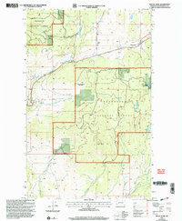 Download a high-resolution, GPS-compatible USGS topo map for Mount Annie, WA (2004 edition)