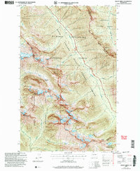 Download a high-resolution, GPS-compatible USGS topo map for Mount Arriva, WA (2006 edition)