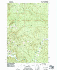Download a high-resolution, GPS-compatible USGS topo map for Mount Brynion, WA (1995 edition)