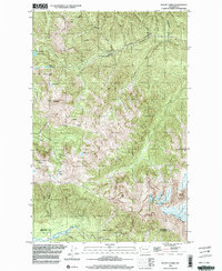 Download a high-resolution, GPS-compatible USGS topo map for Mount Carrie, WA (2003 edition)