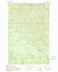 preview thumbnail of historical topo map of Jefferson County, WA in 1989