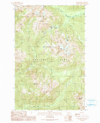 Download a high-resolution, GPS-compatible USGS topo map for Mount Christie, WA (1990 edition)