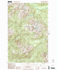 Download a high-resolution, GPS-compatible USGS topo map for Mount Christie, WA (2003 edition)