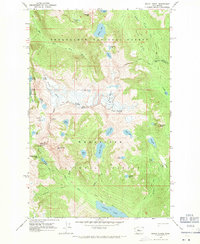 Download a high-resolution, GPS-compatible USGS topo map for Mount Daniel, WA (1971 edition)