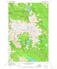Download a high-resolution, GPS-compatible USGS topo map for Mount Daniel, WA (1967 edition)