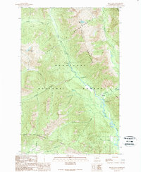 Download a high-resolution, GPS-compatible USGS topo map for Mount David, WA (1989 edition)