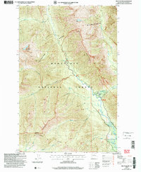Download a high-resolution, GPS-compatible USGS topo map for Mount David, WA (2008 edition)