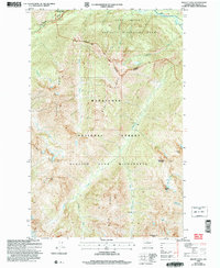 Download a high-resolution, GPS-compatible USGS topo map for Mount Lyall, WA (2008 edition)