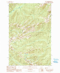 Download a high-resolution, GPS-compatible USGS topo map for Mount Olson, WA (1990 edition)
