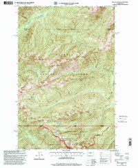 Download a high-resolution, GPS-compatible USGS topo map for Mount Olson, WA (2001 edition)