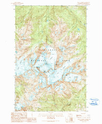 Download a high-resolution, GPS-compatible USGS topo map for Mount Olympus, WA (1990 edition)