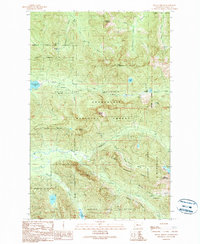 Download a high-resolution, GPS-compatible USGS topo map for Mount Phelps, WA (1989 edition)