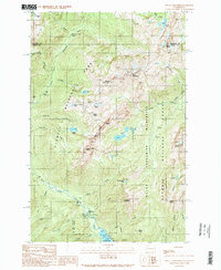 preview thumbnail of historical topo map of Mason County, WA in 1990