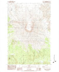 Download a high-resolution, GPS-compatible USGS topo map for Mount St Helens, WA (1984 edition)