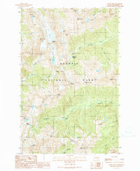 Download a high-resolution, GPS-compatible USGS topo map for Mount Steel, WA (1990 edition)