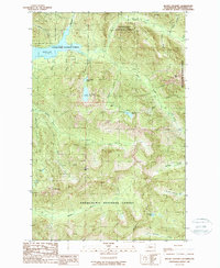 Download a high-resolution, GPS-compatible USGS topo map for Mount Stickney, WA (1989 edition)