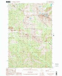 Download a high-resolution, GPS-compatible USGS topo map for Mount Stuart, WA (1989 edition)