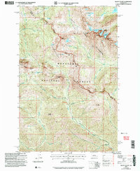 Download a high-resolution, GPS-compatible USGS topo map for Mount Stuart, WA (2006 edition)