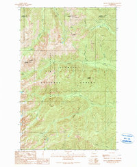 Download a high-resolution, GPS-compatible USGS topo map for Mount Townsend, WA (1990 edition)