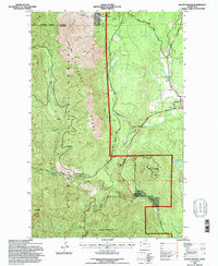 Download a high-resolution, GPS-compatible USGS topo map for Mount Walker, WA (1997 edition)