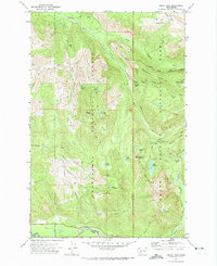 Download a high-resolution, GPS-compatible USGS topo map for Mount Wow, WA (1974 edition)