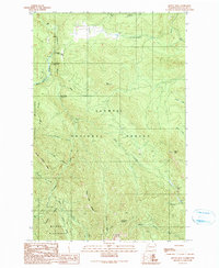 Download a high-resolution, GPS-compatible USGS topo map for Mount Zion, WA (1990 edition)