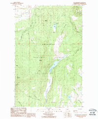 Download a high-resolution, GPS-compatible USGS topo map for Mt Bonaparte, WA (1988 edition)