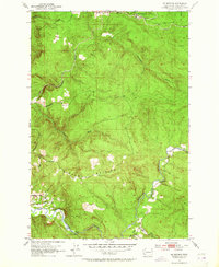 Download a high-resolution, GPS-compatible USGS topo map for Mt Brynion, WA (1964 edition)